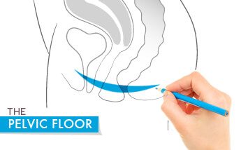 restore your pelvic floor